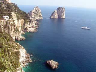 Capri augustus