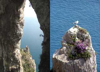 Capri Arco Naturale